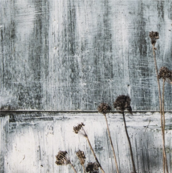 Whitewash artwork by Tottie Aarvold